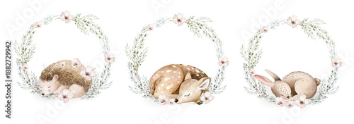 Watercolor cute sleeping baby fawn and bunny animal. Woodland nursery hedgehog and rabbit isolated illustration with floral wreath for children. watercolour forest deer drawing, floral image. 