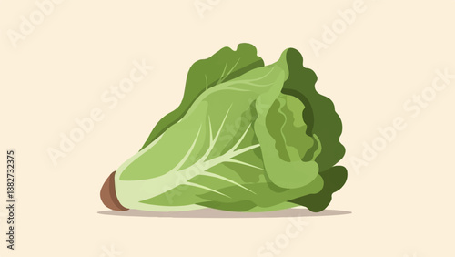 A green lettuce head with visible veins rests on a light background