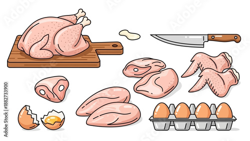 Fresh Raw Chicken Pieces and Eggs for Cooking, Isolated on White