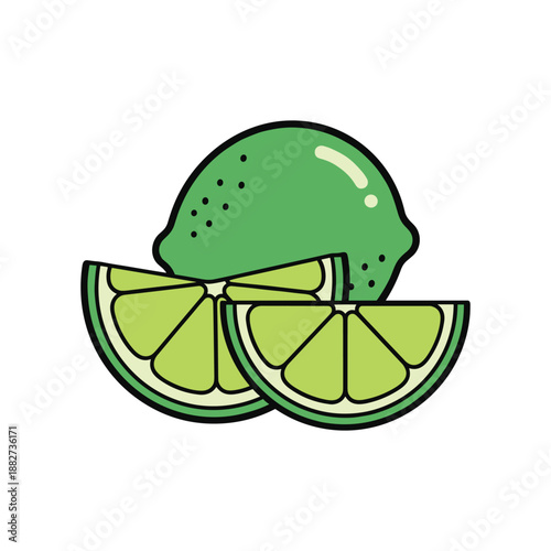 Fresh Green Lemon Slices Illustration