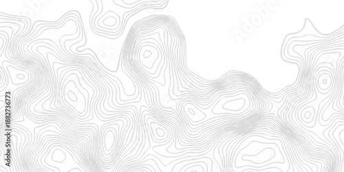 Abstract topography pattern seamless lines sea map modern design white background. Abstract digital topographic contour map concept space geometric strip grid line. Natural discovery of maps.