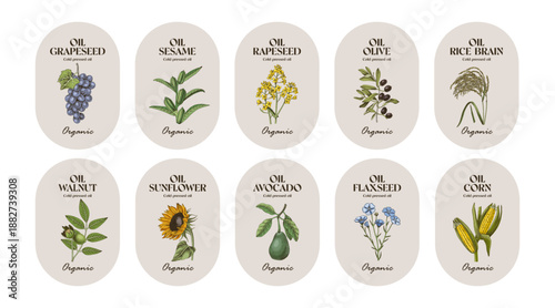 Set of plant oil labels vector