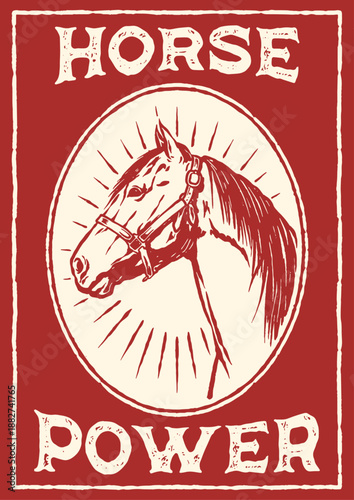 hand drawn vintage of a horse head