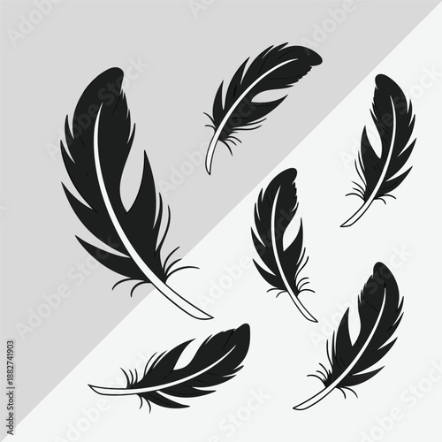 Elegant black feathers delicately scattered across a split grayscale background creating a striking visual contrast