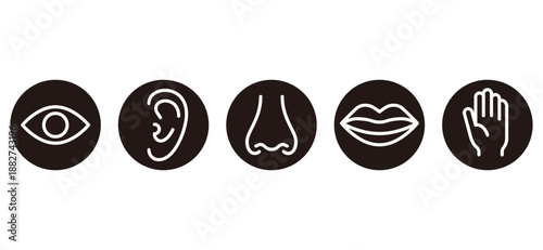 五感のイメージアイコン素材セット