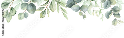 Watercolor banner with green eucalyptus leaves and branches. Greenery clipart for wedding invitation, greeting cards, save the date, stationery design.  Hand drawn illustration.