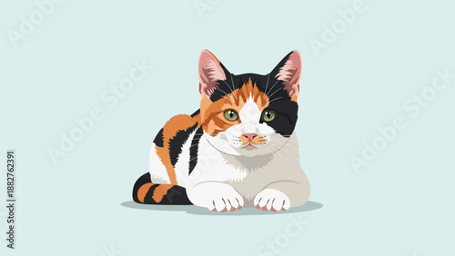 Adorable calico cat with unique patches of orange, black, and white resting