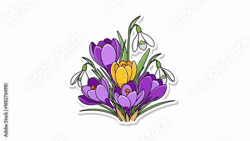 Colorful spring flowers with purple crocuses, yellow crocus, and white snowdrops