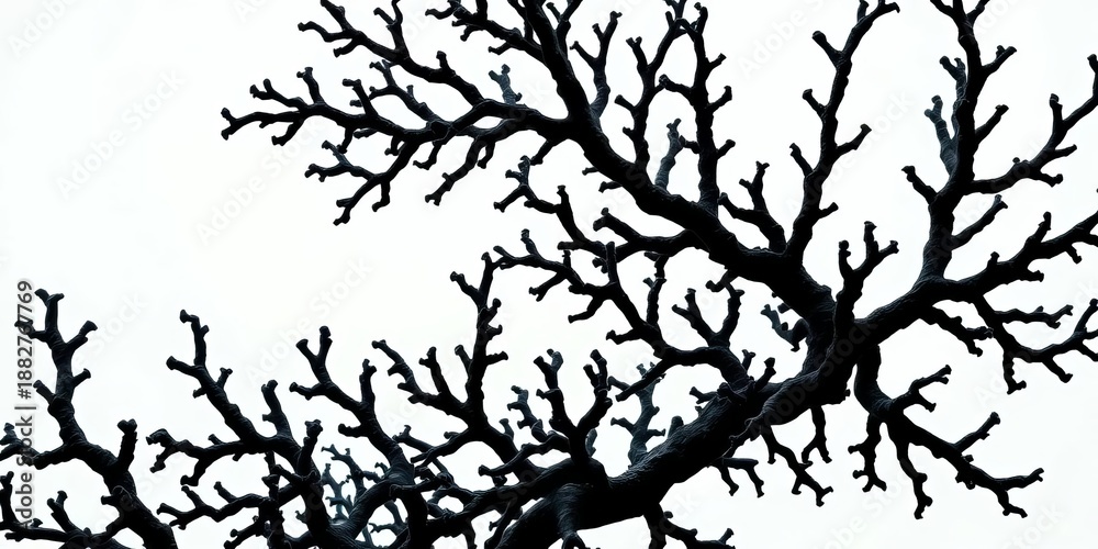 Fototapeta premium Intricate black coral branches, dark against a light background, macro, black