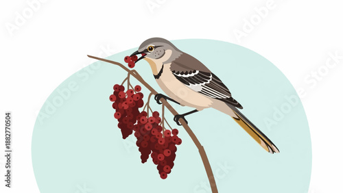 Bird perched on a branch with red berries, eating some