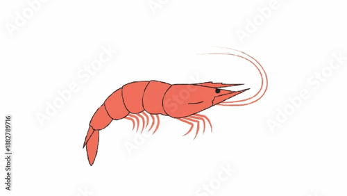 Simple and stylized illustration of a pink shrimp or prawn with long antennae, drawn in a clean, minimalist style on a white background.