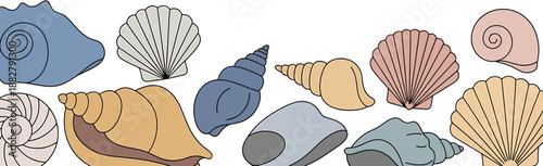 A colorful assortment of various seashells and conch shells, displayed in a horizontal arrangement against a white background, perfect for summer and beach themes