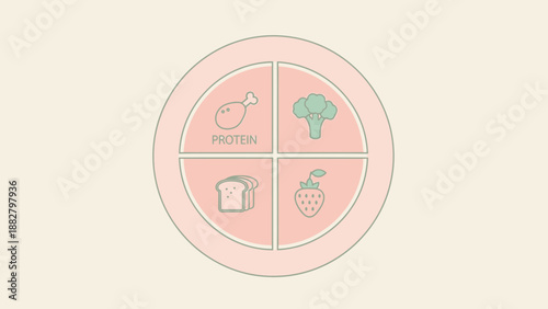 A Simplified Nutritional Plate Showing Food Group Divisions for a Balanced Diet Plan