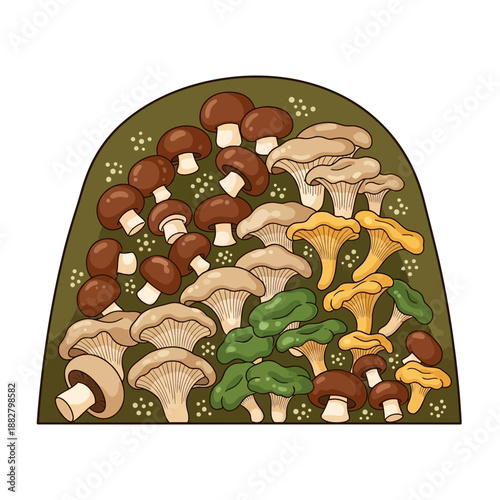 A Whimsical Illustration of Diverse Mushrooms Showcasing Culinary and Botanical Variety