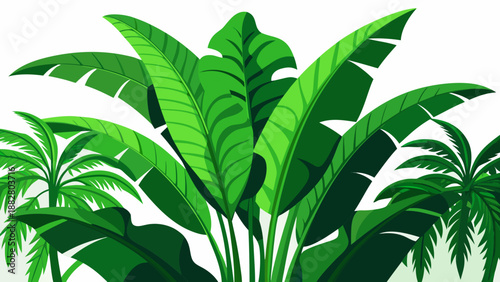Lush tropical leaves Vector
