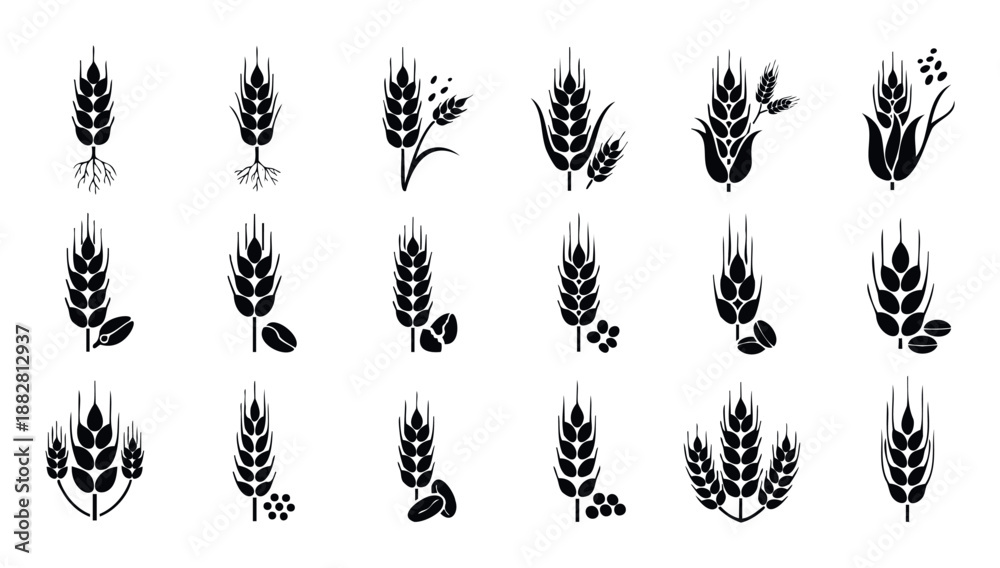 Fototapeta premium Black wheat ear and grain symbols representing agriculture harvest farming food production perfect for branding packaging baking industry brochures and restaurant menus
