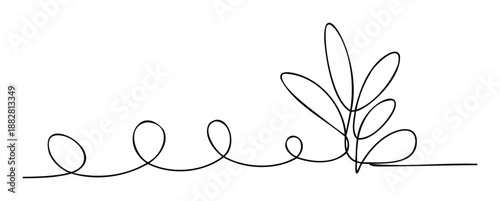 Stylish continuous single line drawing creating a minimalist botanical accent and decorative border, ideal for graphic headers, footers, and page separators in various creative projects.
