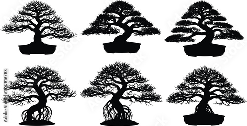 Collection of black silhouettes of traditional Japanese bonsai trees in various artistic shapes and decorative pots isolated on white background, set