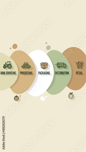 Depicting Agricultural Supply Chain: From Cultivation Through Packaging to Retail Availability