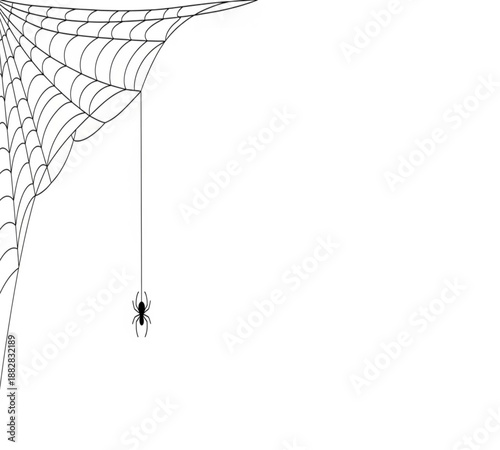 A delicate spiderweb with a small black spider suspended in the center isolated on white