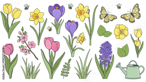 Spring Flowers Collection Botanical Illustrations.
