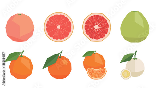 Geometric citrus collection: grapefruit, orange, and pomelo in modern vector style