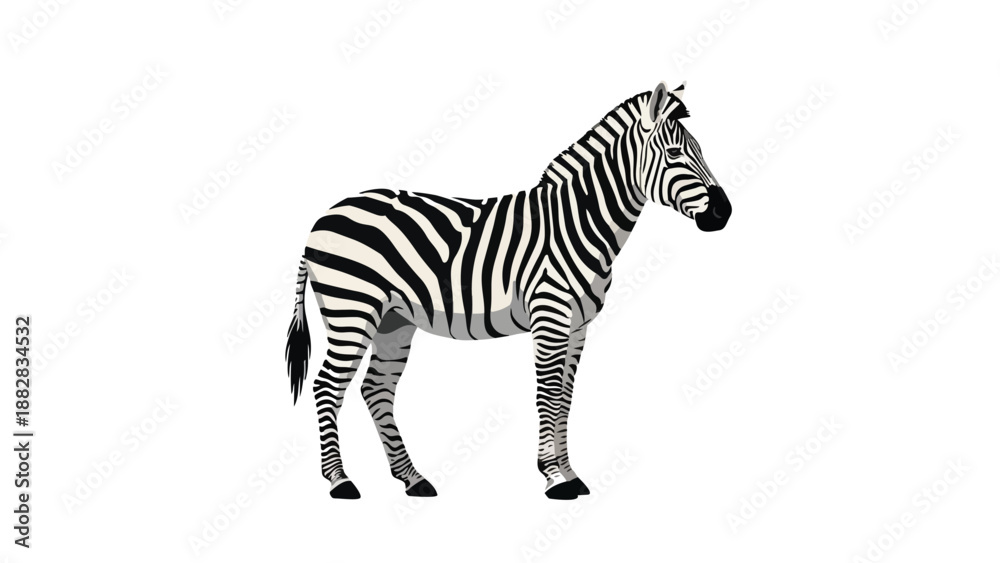 Fototapeta premium A strikingly beautiful black and white zebra stands proudly in full profile, showcasing its unique stripe patterns against a clean, isolated white