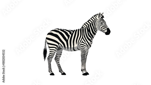 A strikingly beautiful black and white zebra stands proudly in full profile, showcasing its unique stripe patterns against a clean, isolated white