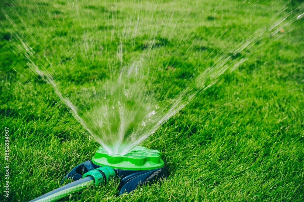 Fototapeta premium Sprinkler System Watering a Lush Green Lawn in Bright Sunshine on a Clear Day