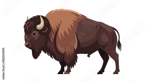 Majestic American bison standing illustration isolated on white background depicting North American wildlife and powerful mammal characteristics