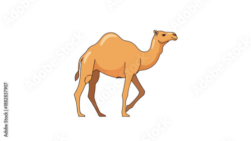 Vibrant cartoon dromedary camel illustration walking against a clean white backdrop an ideal asset for children's media educational materials and
