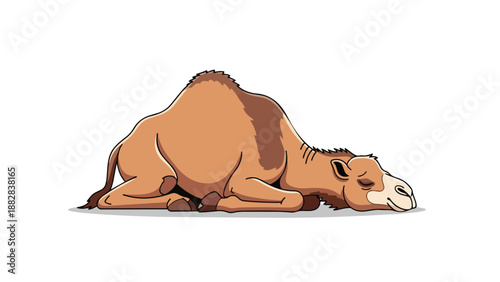 A peaceful cartoon dromedary resting calmly, its serene repose captured in a charming illustration on a crisp white backdrop, depicting desert