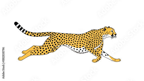 A vibrant, stylized illustration of a cheetah in a powerful, swift running motion on a clean white background