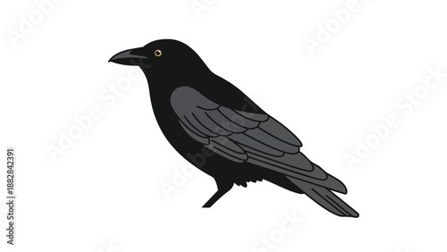 Sophisticated vector portrayal of a common black crow, featuring its characteristic dark body, detailed grey wing feathers, and a prominent bright