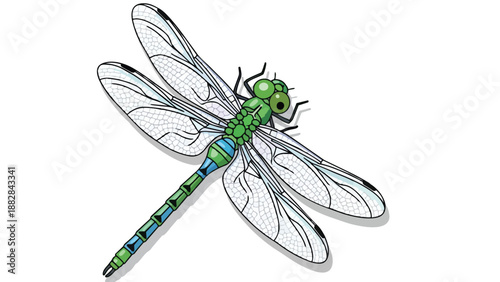 Vibrant emerald and azure dragonfly illustration with delicate translucent wings showcasing nature's intricate insect beauty and graceful aerial