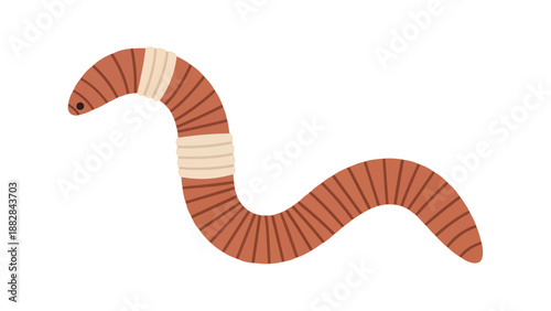 A playful minimalist earthworm illustration with a segmented body and a pale band showcasing essential soil life in a clean cartoon style perfect