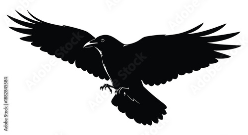 a striking black bird illustration depicts a raven in full flight with expansive wings creating a dramatic and powerful visual silhouette