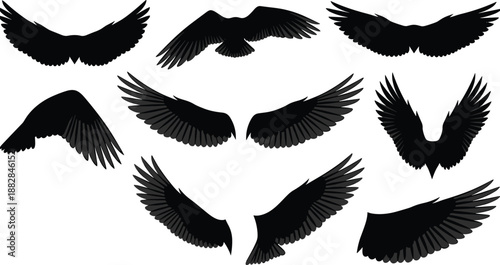 Set of black bird wings silhouettes in different positions, flying feathered wings collection for tattoo design, angel logo, heraldic emblem, and vector illustration.