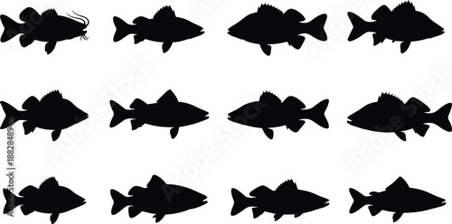 Set of twelve black fish silhouettes in different shapes and sizes, freshwater species icons for fishing logos, aquatic wildlife design, and nature vector illustrations.