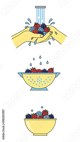 Fresh Berries Washing Process: A Visual Guide From Source to Serving, Healthy Fruit