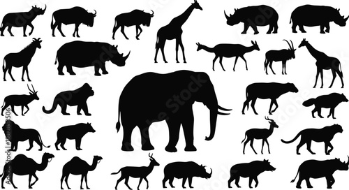 Wild animal silhouette set with elephant, lion, giraffe, rhino and antelope shapes, African safari wildlife collection, black isolated animals on white background