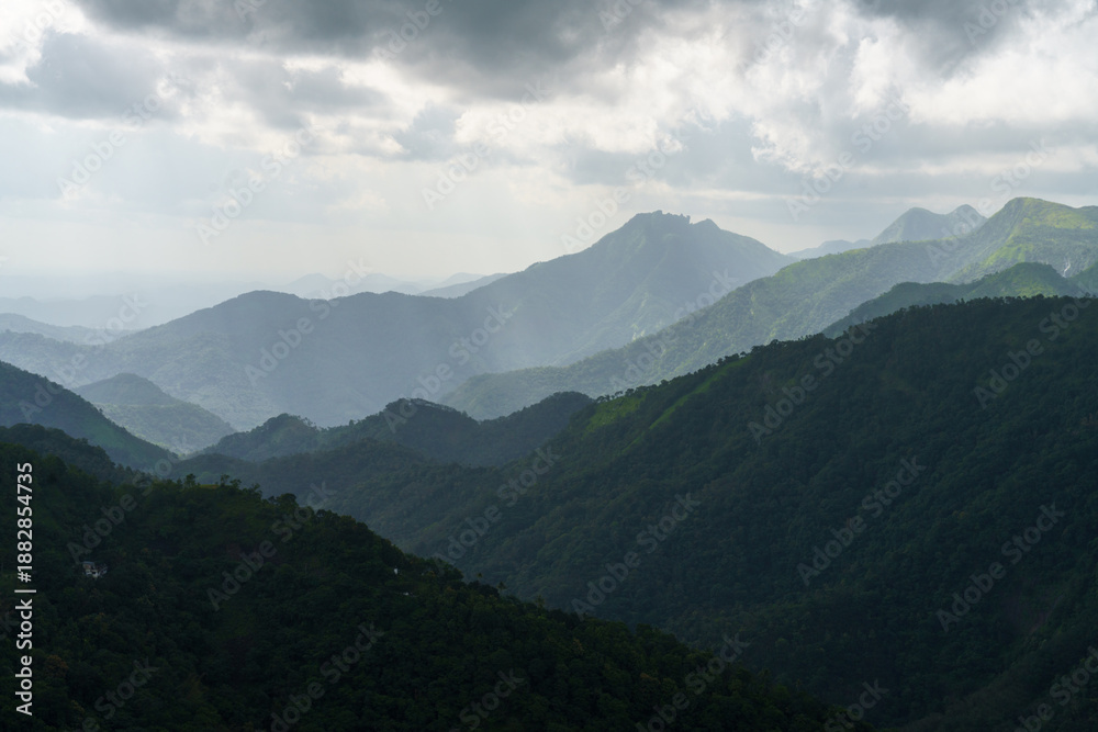 Fototapeta premium The mountains are covered in lush green trees and the sky is cloudy