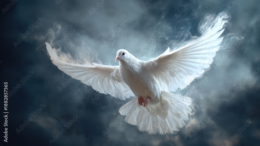 Obraz premium White dove flying with spread wings. Peace and freedom concept. Spiritual religious symbol. Symbol of hope and purity.