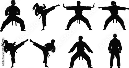 Karate martial arts fighter silhouettes set, men and women practicing kicks and stances, black vector illustration for self defense training, sport, dojo concepts.