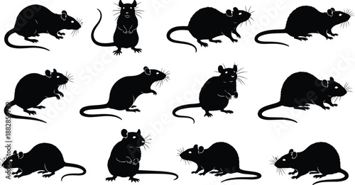 Set of rat and mouse silhouettes in different poses, black rodent wildlife vector collection for pest control, laboratory, and Halloween design isolated on white.