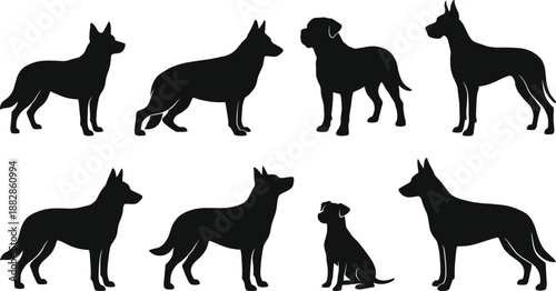 Set of dog silhouettes in different breeds and standing poses, black pet animal icon collection for veterinary, training and adoption design, isolated.