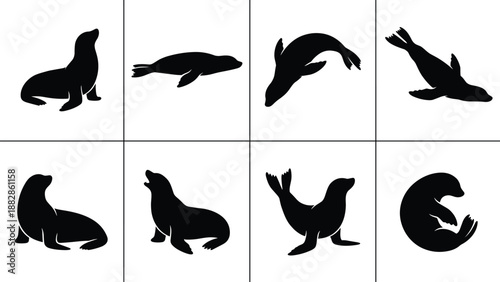 Set of seal and sea lion silhouettes in different poses, swimming and resting marine mammal icon collection, isolated on white background vector.