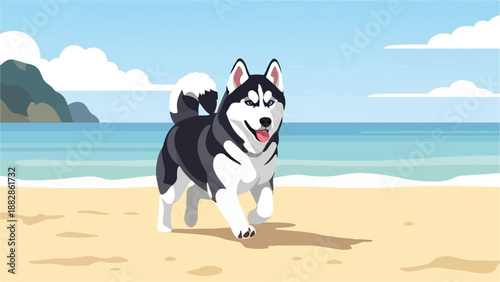 Happy husky dog running along a sandy beach next to the ocean