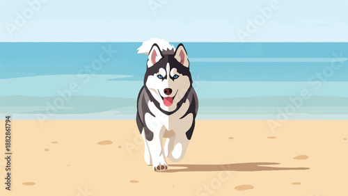 Happy husky dog running on a sandy beach near the ocean