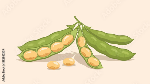 Green pods spilling with plump, yellow beans scattered around